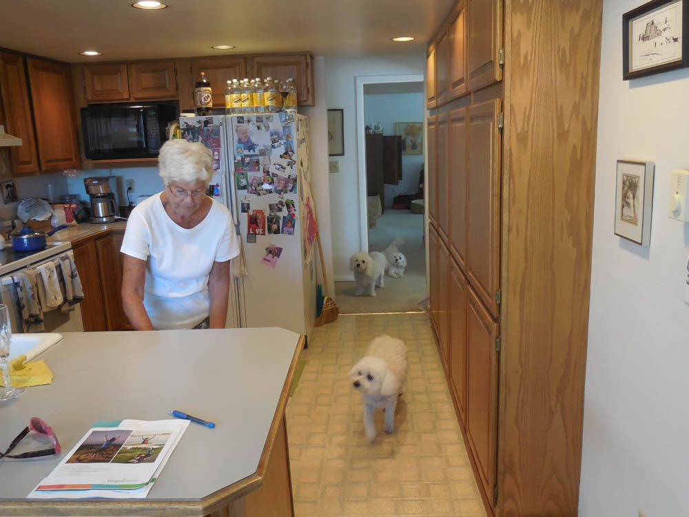 july_stef fuzzy alfie and rose