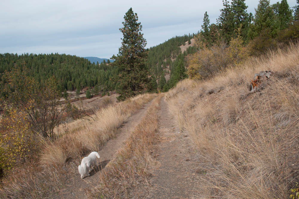 october_alfie in addy