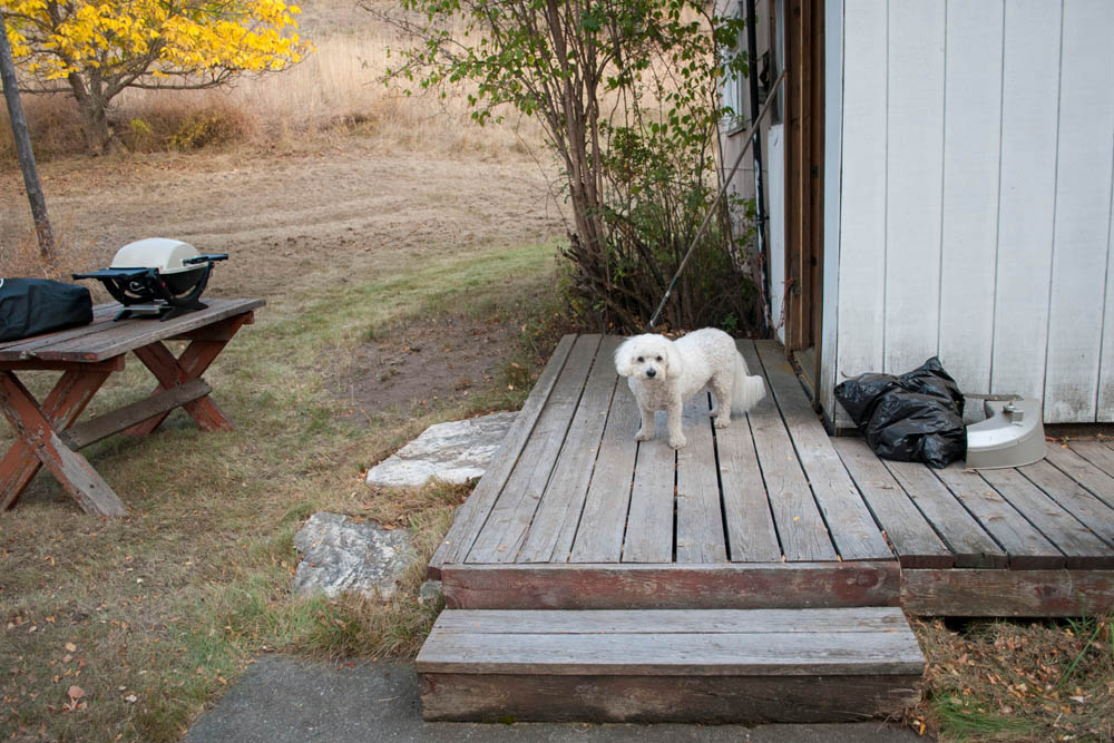 october_alfie in addy