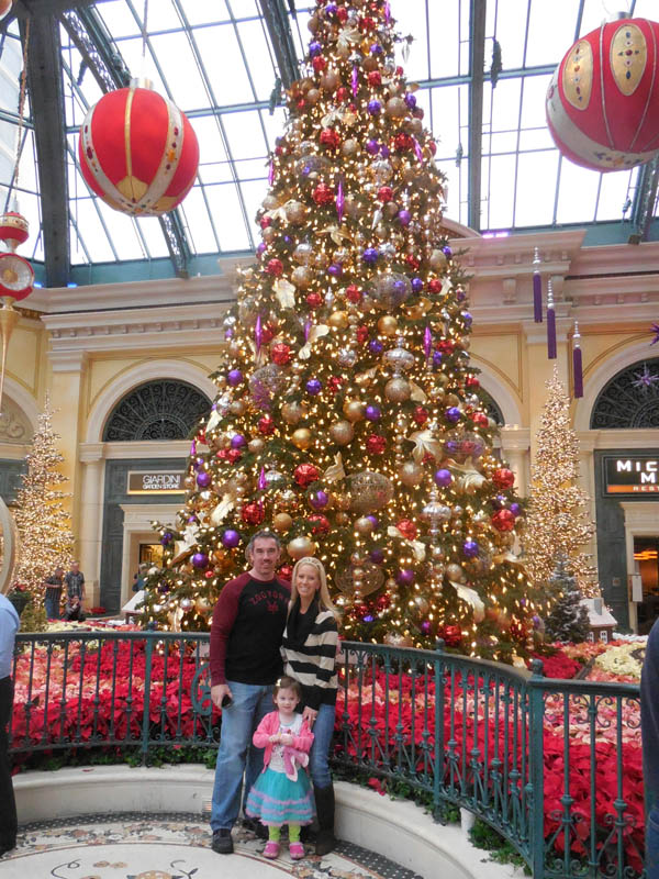 december_noah sandy and mandy at bellagio