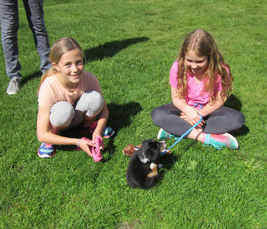 may_lauren brooks and maddy