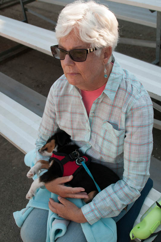may_stef and brooks at softball