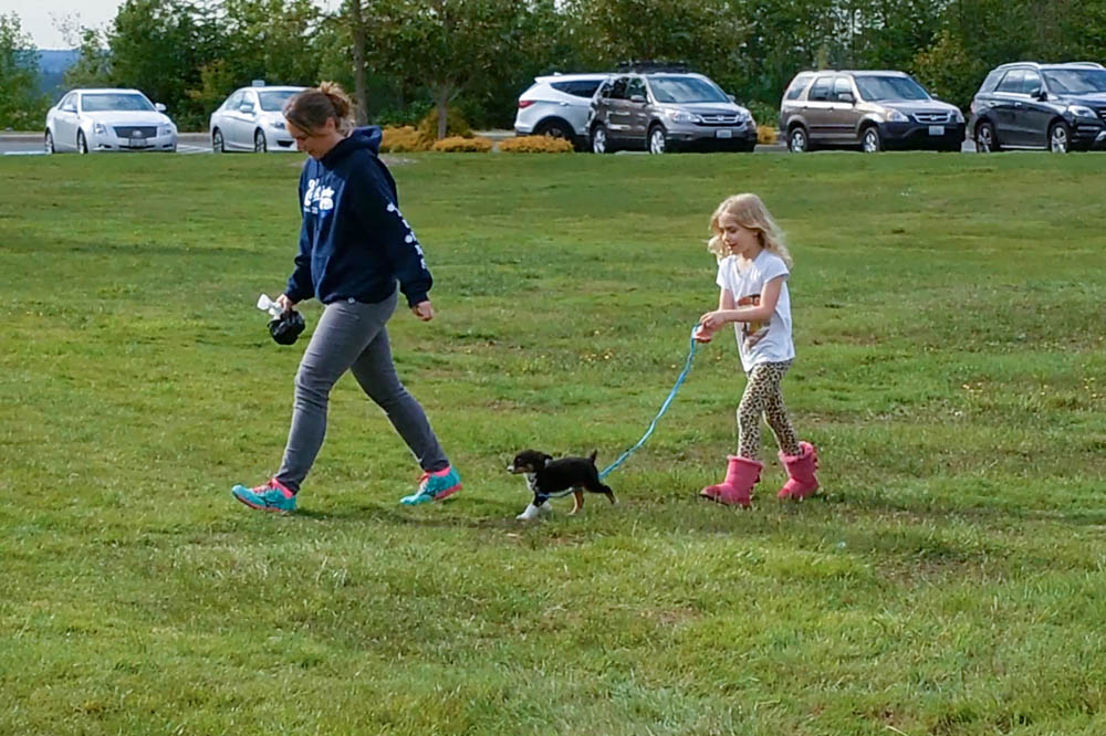 may_sarah brooks and katie at maddy softball