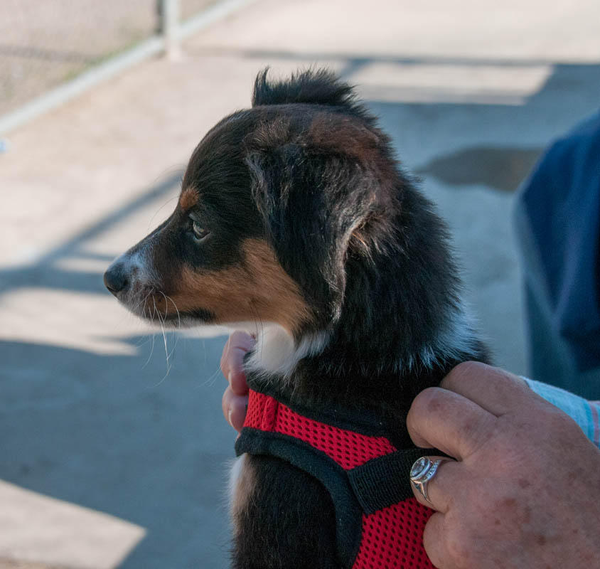 may_brooks at softball