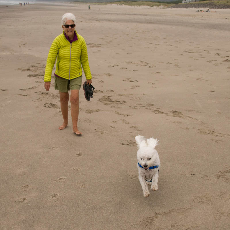 july_stef and alfie_neskowin