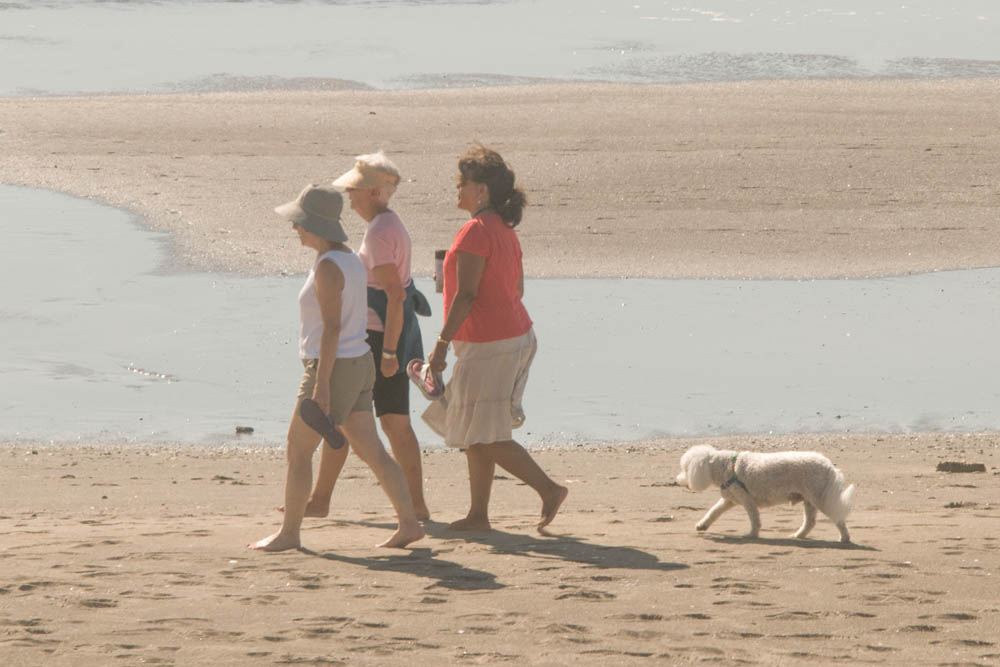 july_megg stef kris and alfie_neskowin