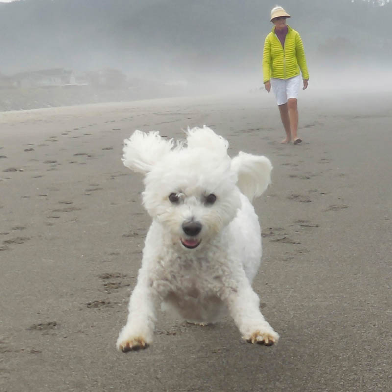 july_alfie and stef_neskowin