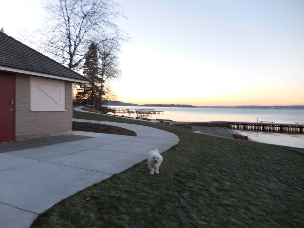 january_alfie at waverly park 2017