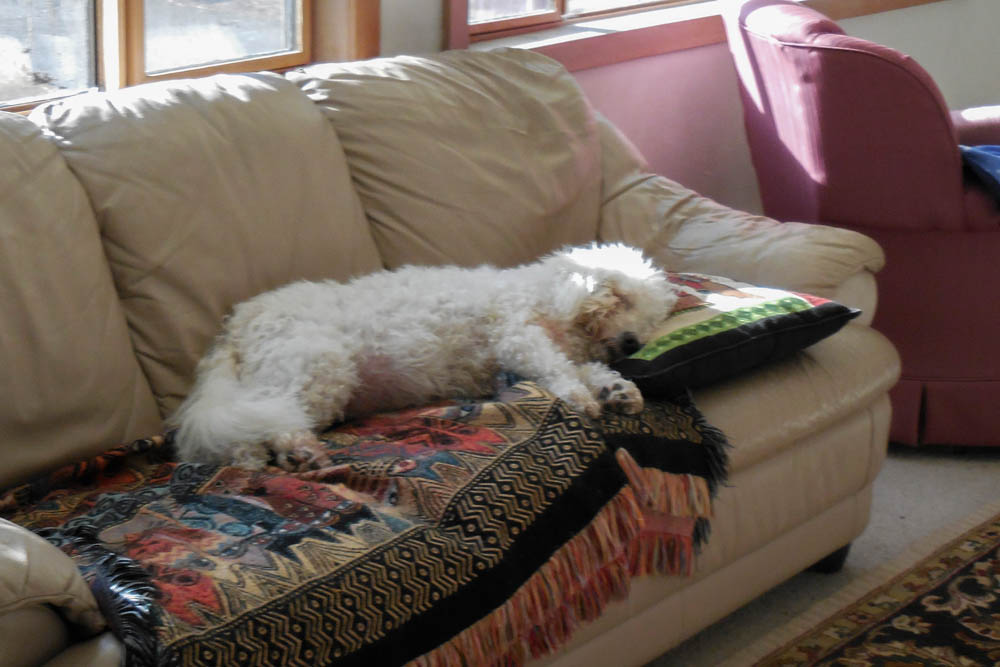 february_alfie at home 2017