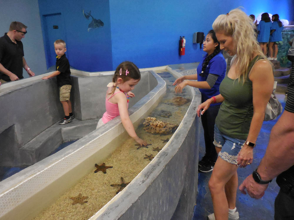 july_mandy and sandy at aquarium las vegas 2017