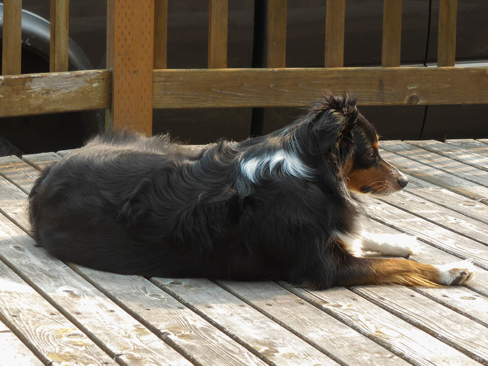 august_brooks at stefs 2017