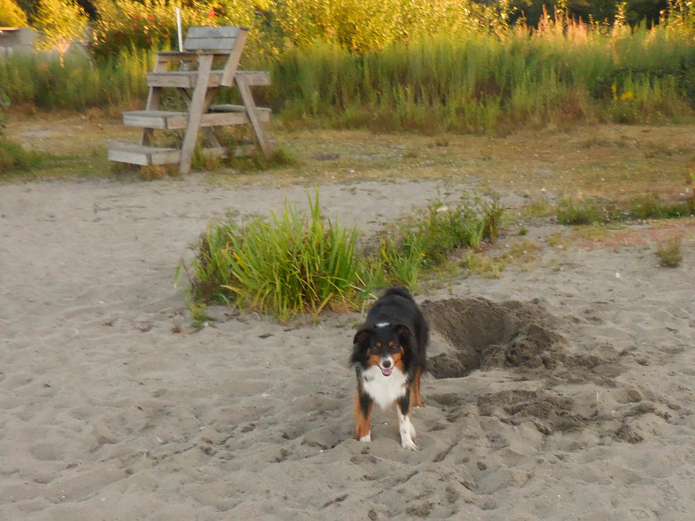 august_brooks at juanita beach 2017