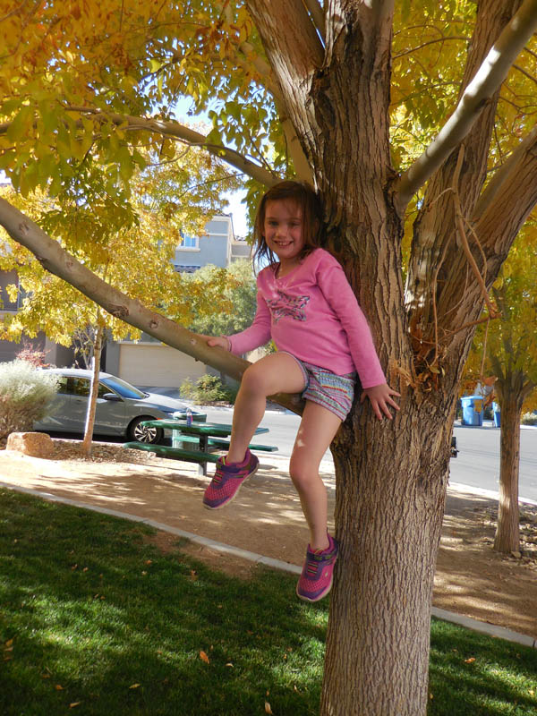 november_mandy in vegas 2017