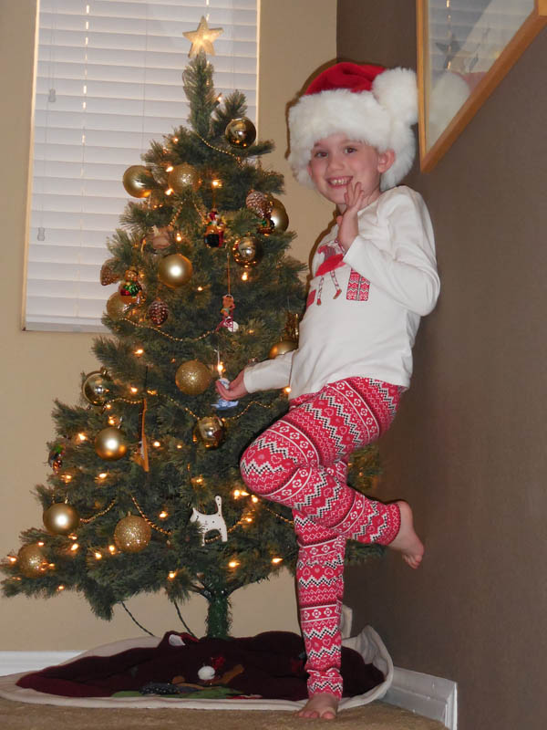 november_mandy and xmas tree 2017