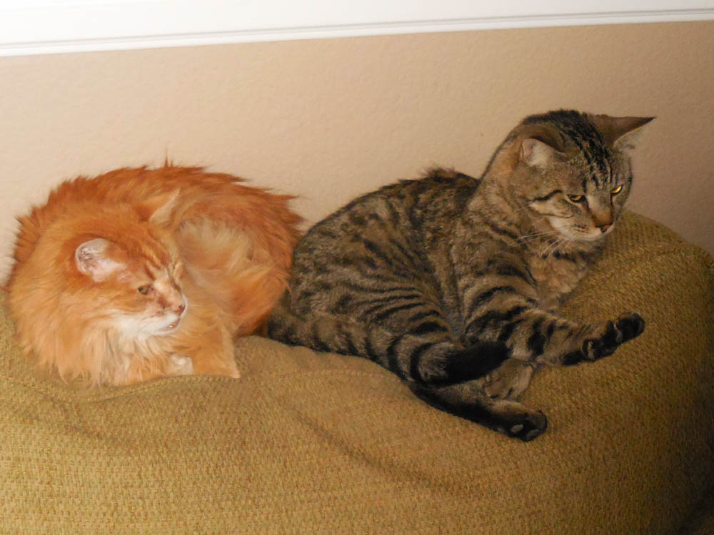 april_bob and julien