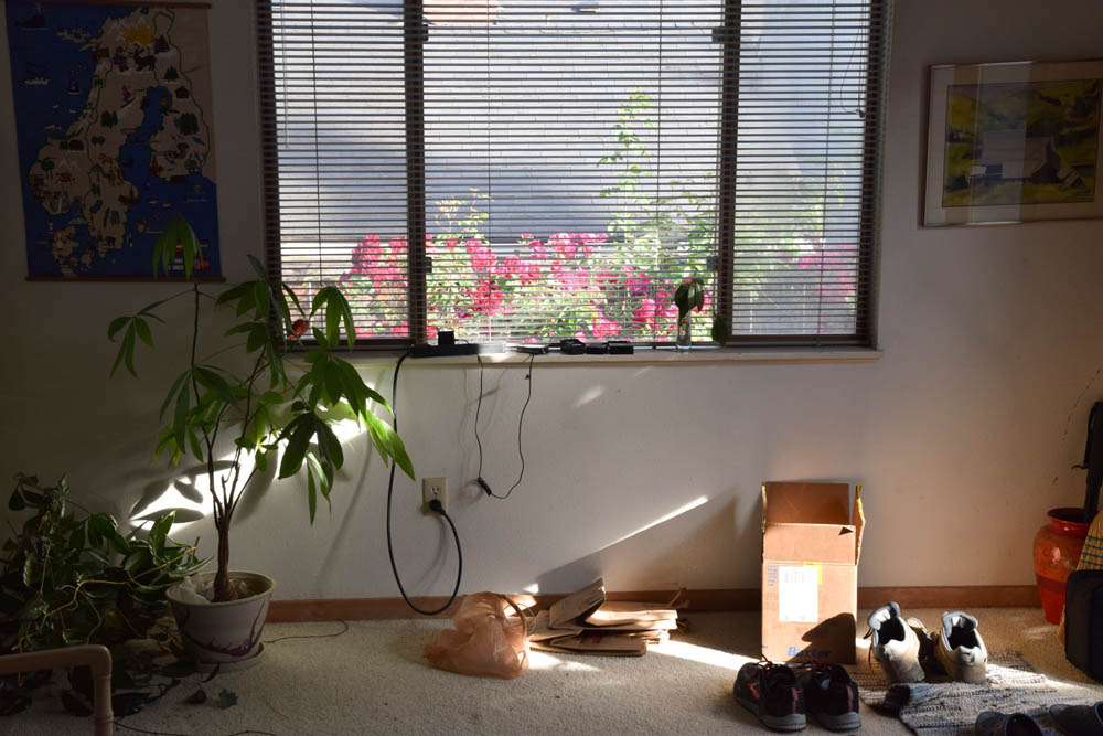 june_moving out of stefs