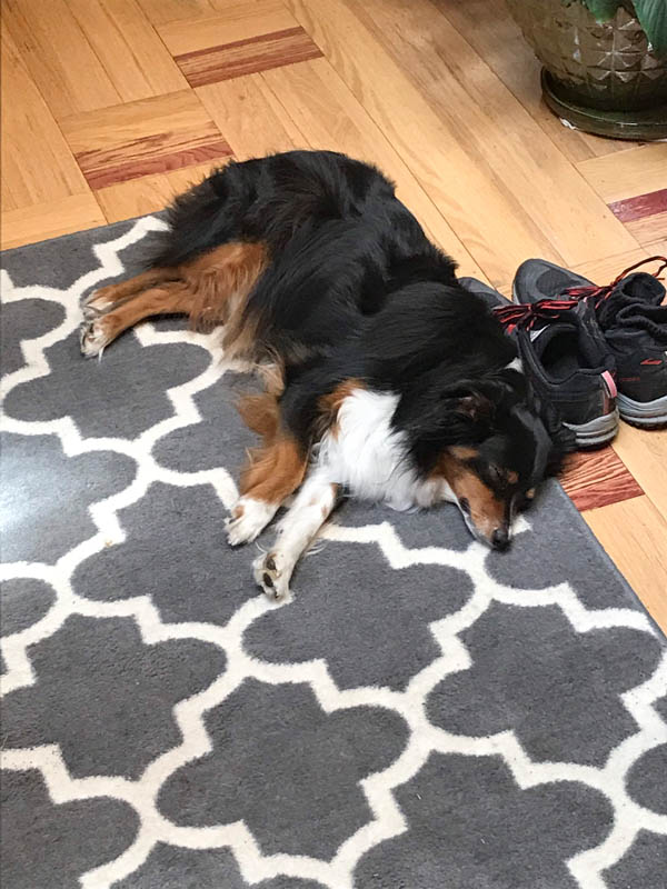 august_brooks at home