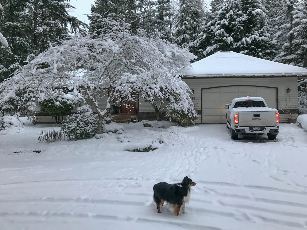 february_brooks snow at sarahs