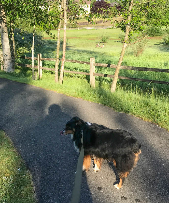 may_brooks at illahee park