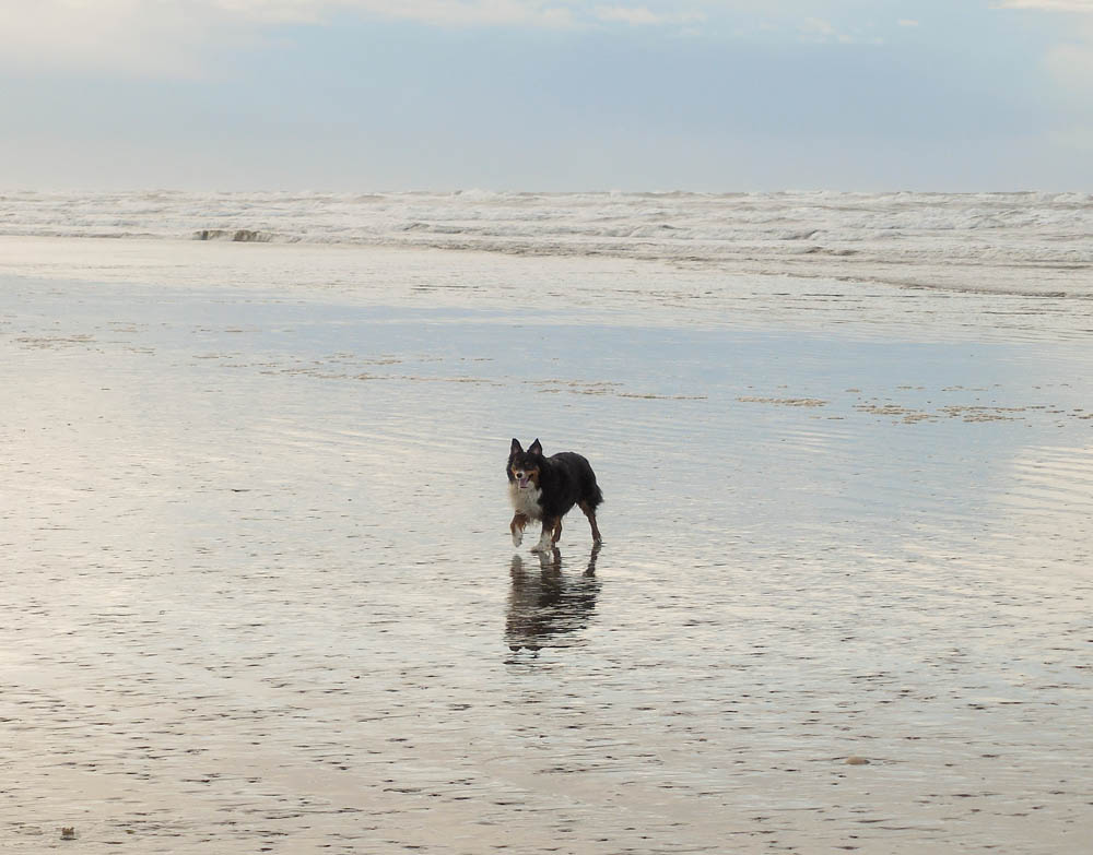 november_brooks at seabrook