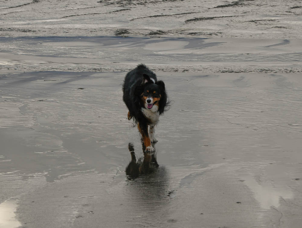 november_brooks at seabrook