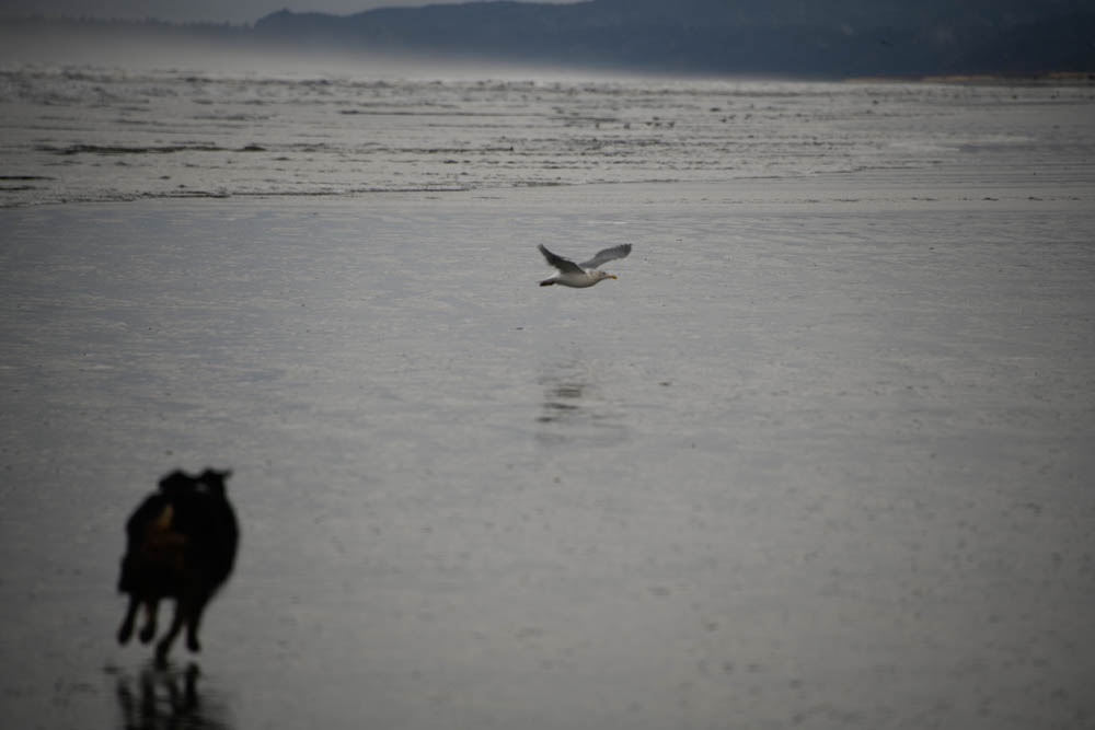 november_brooks at seabrook