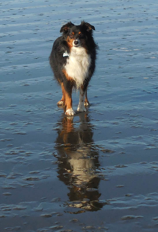 november_brooks at seabrook