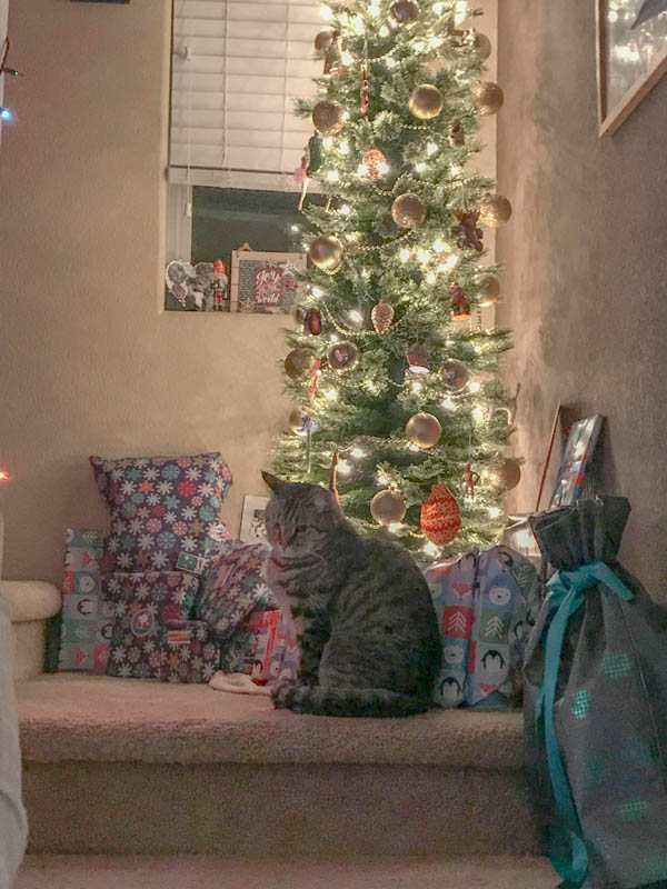 december_julien vegas