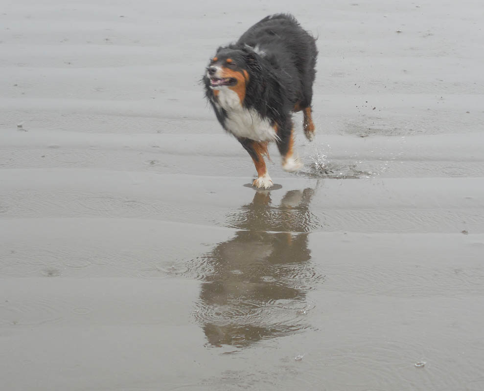 may_brooks at seabrook