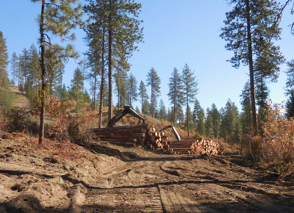 october_logging on state land