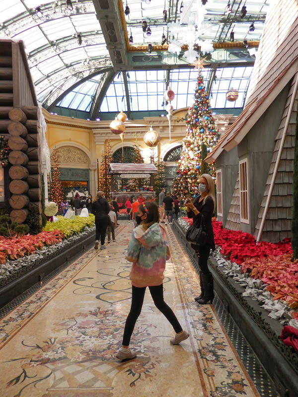 november_mandy and sandy at bellagio