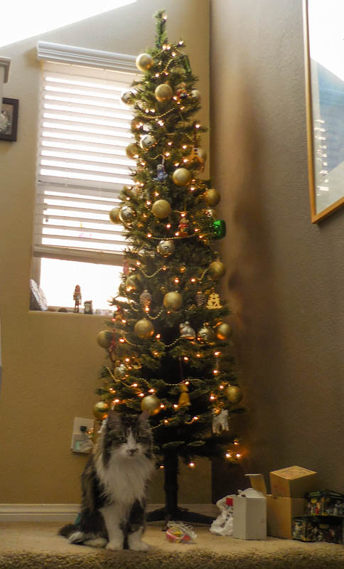 november_maggie and tree