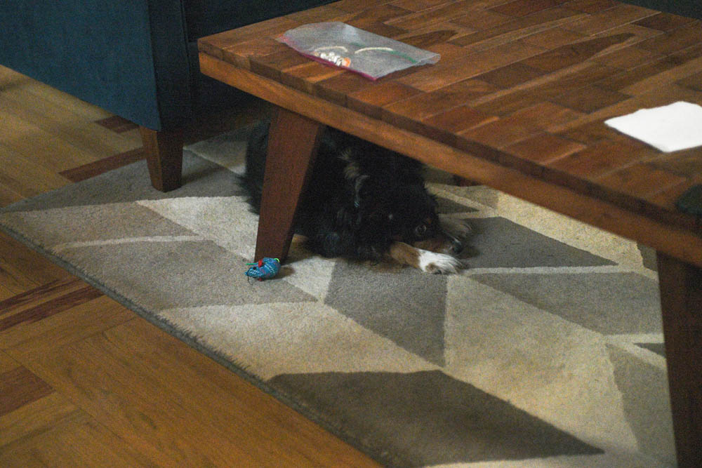 december_brooks at home