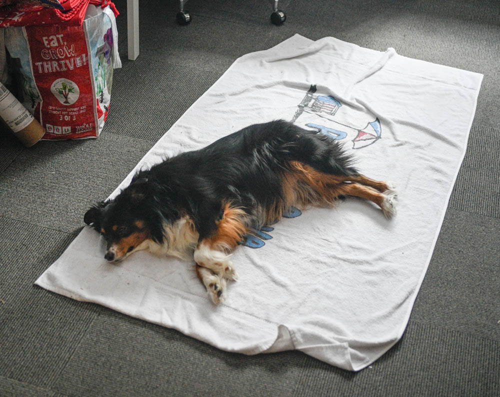 december_brooks at home