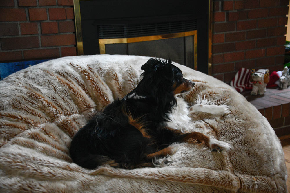 december_brooks at home