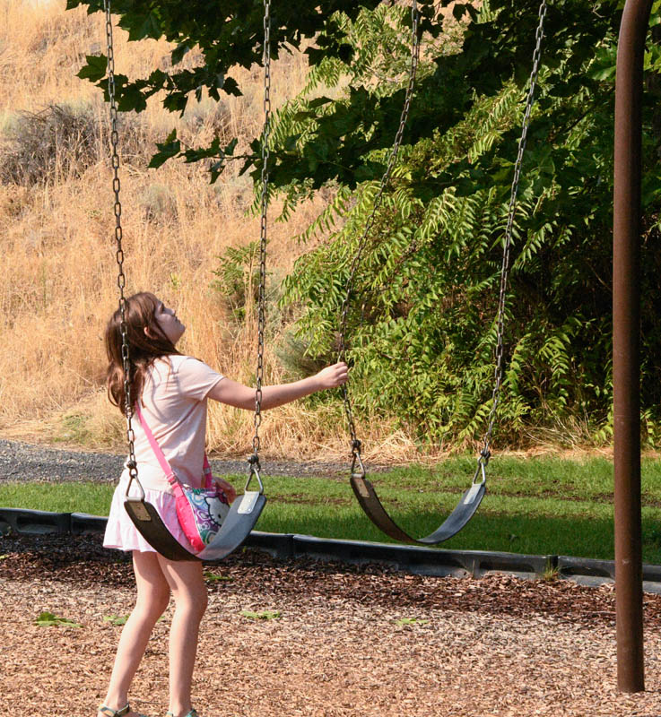 august_shaking spiders