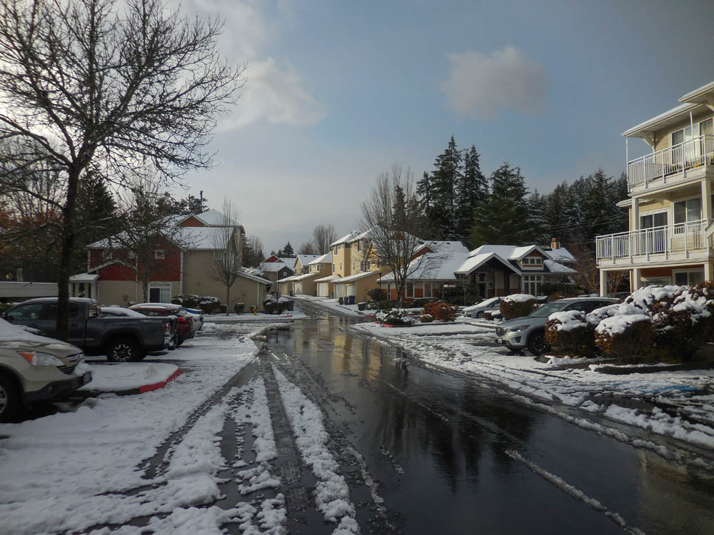 december_snow dennis apt sammamish