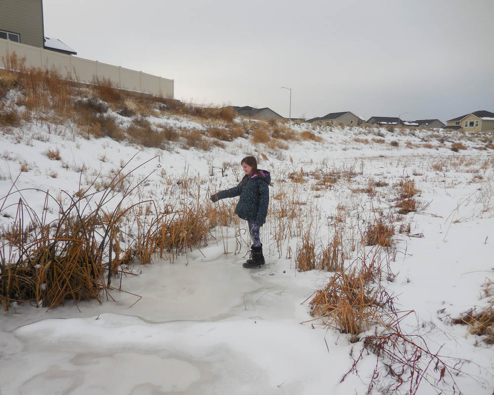 december_mandy on ice