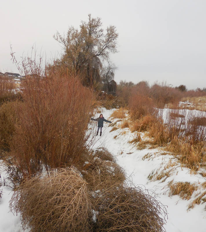 december_mandy in amon wasteway