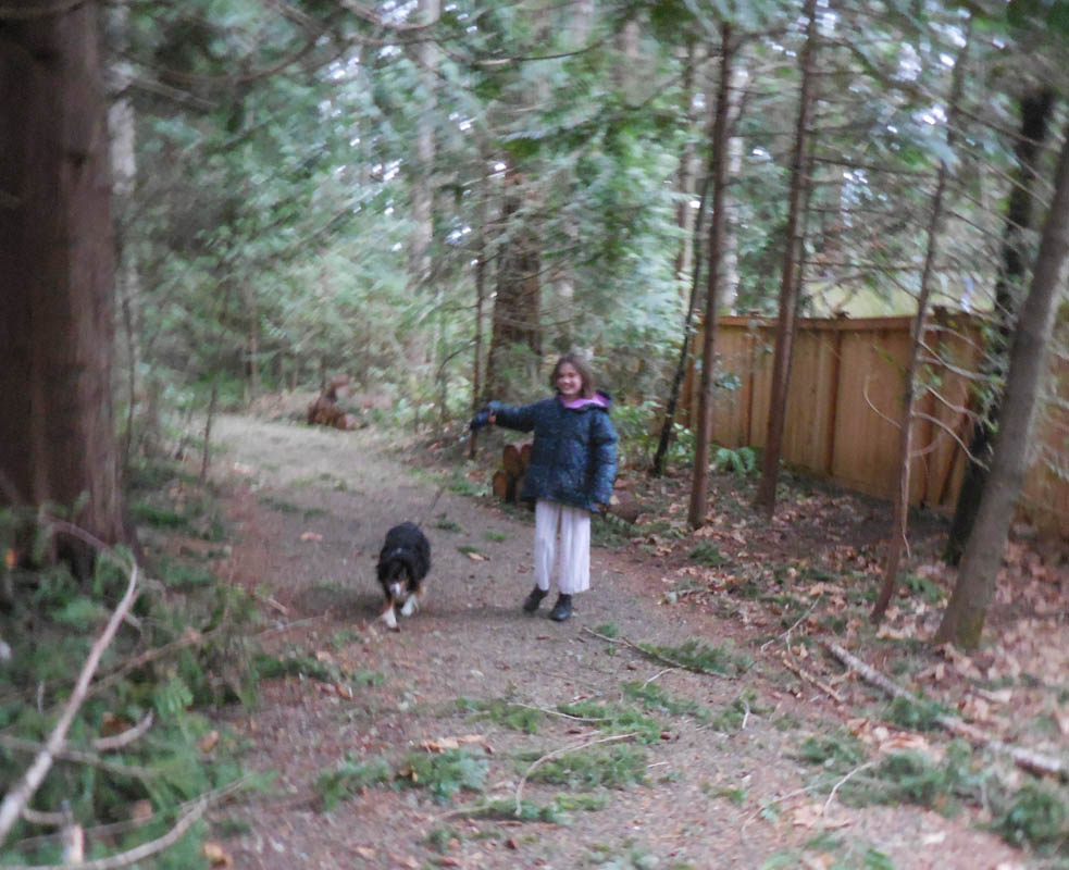 january_mandy and brooks sammamish