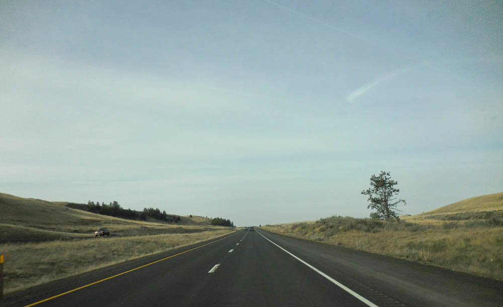 march_i90 last trees near spokane