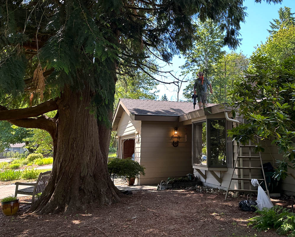 june_mike cleaning roof