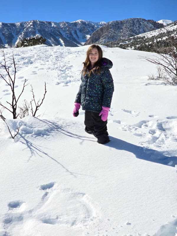 mandy nevada mountains