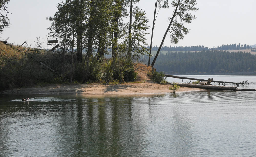 mandy at cloverleaf lake roosevelt