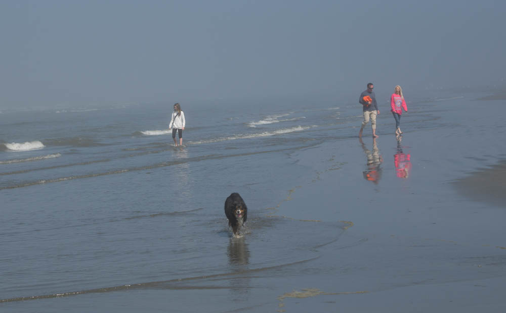 amanda brooks noah and sandy at seabrook