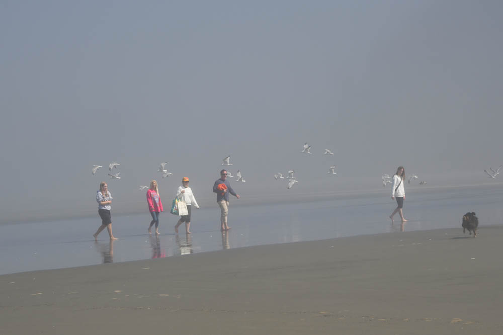kathryn sandy sarah noah brooks and mandy at seabrook